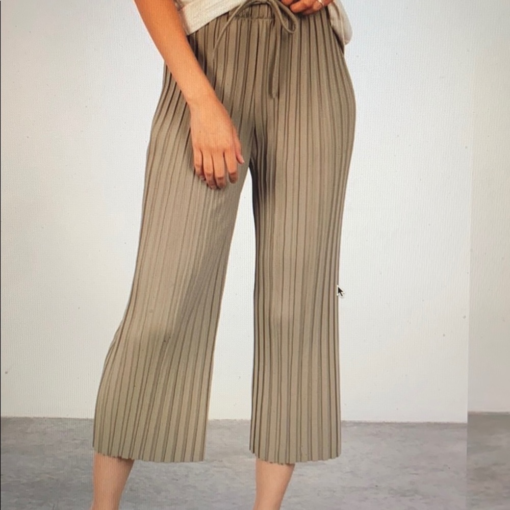 NWT Franklyn pleated pant